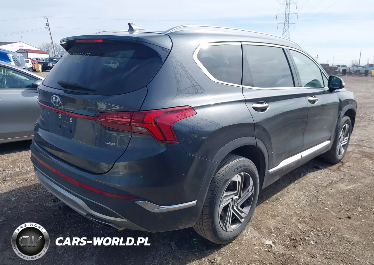 2021 Hyundai Santa Fe Sel VIN:5NMS6DAJ4MH315895 - 4