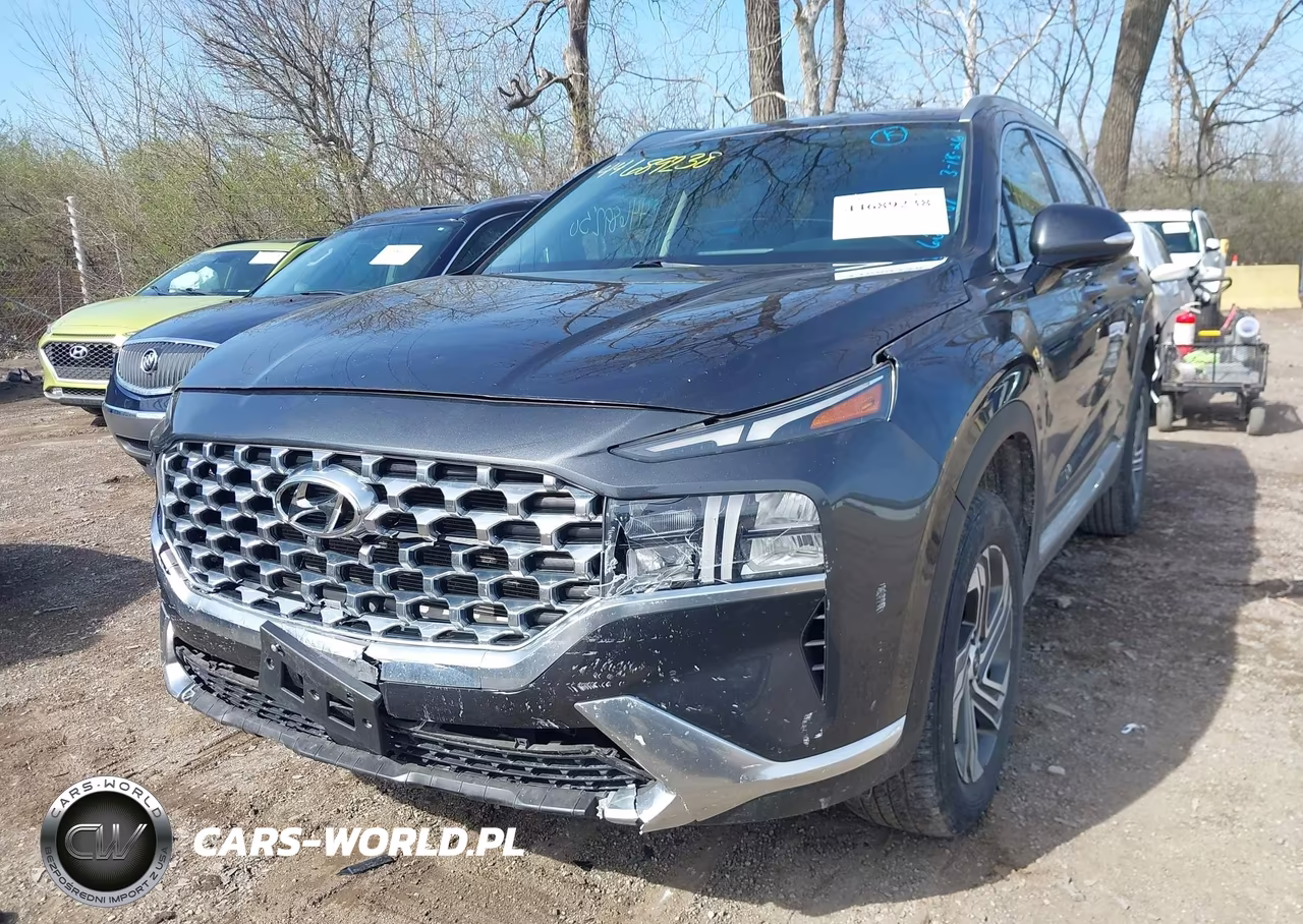2021 Hyundai Santa Fe Sel VIN:5NMS6DAJ4MH315895 - 6