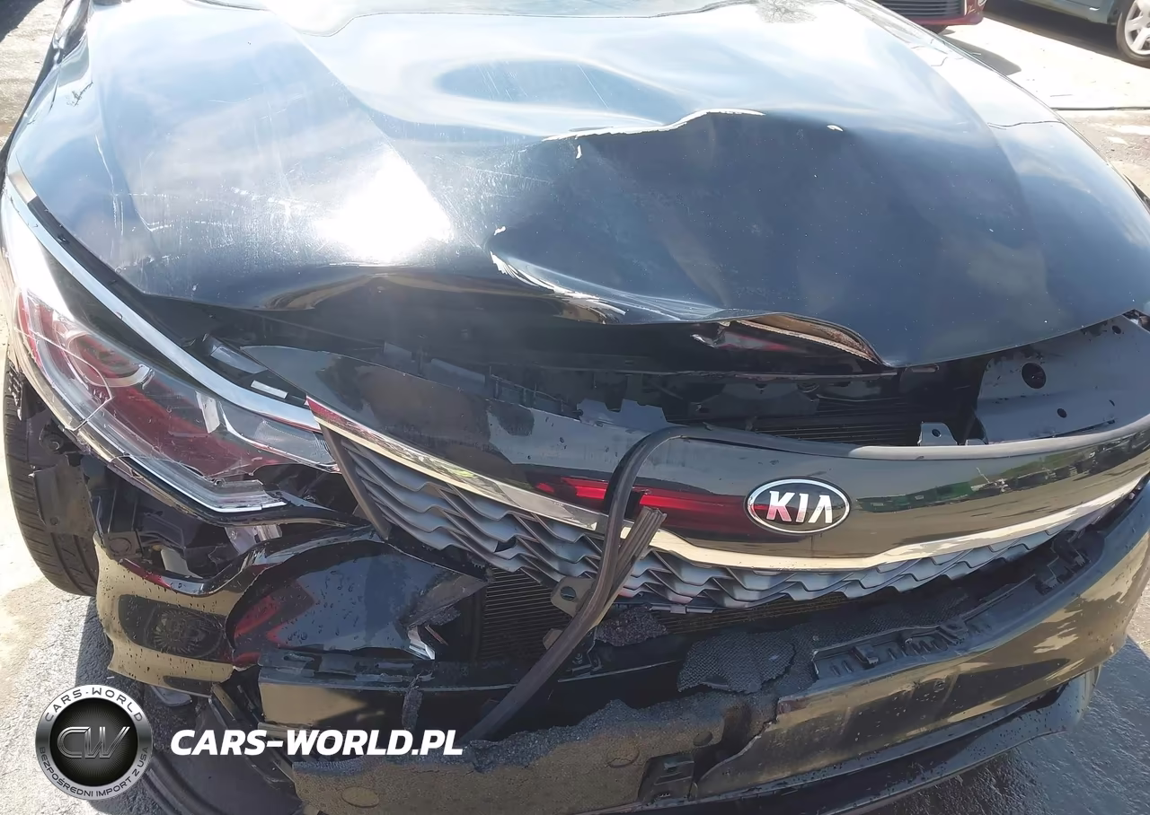 2019 Kia Optima Lx VIN:5XXGT4L38KG300518 - 16
