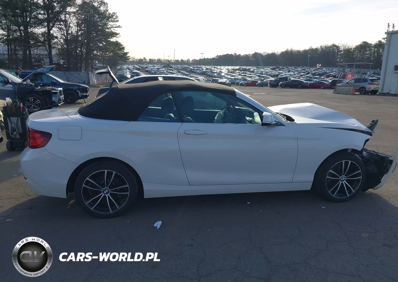 2020 BMW 230I xDrive VIN:WBA2K1C02L7G10773 - 14