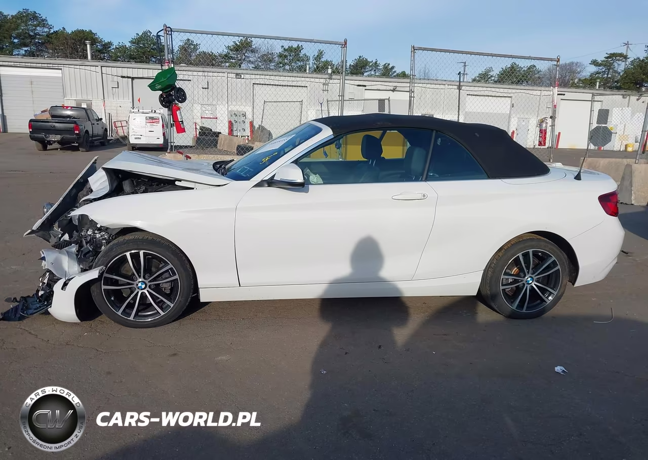 2020 BMW 230I xDrive VIN:WBA2K1C02L7G10773 - 15