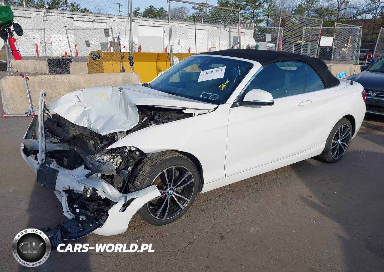 2020 BMW 230I xDrive VIN:WBA2K1C02L7G10773 - 2
