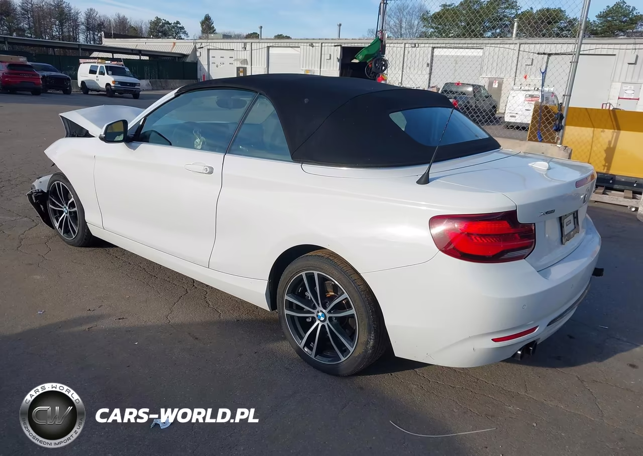 2020 BMW 230I xDrive VIN:WBA2K1C02L7G10773 - 3