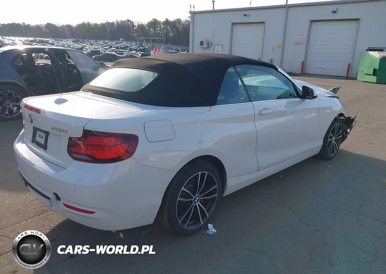 2020 BMW 230I xDrive VIN:WBA2K1C02L7G10773 - 4