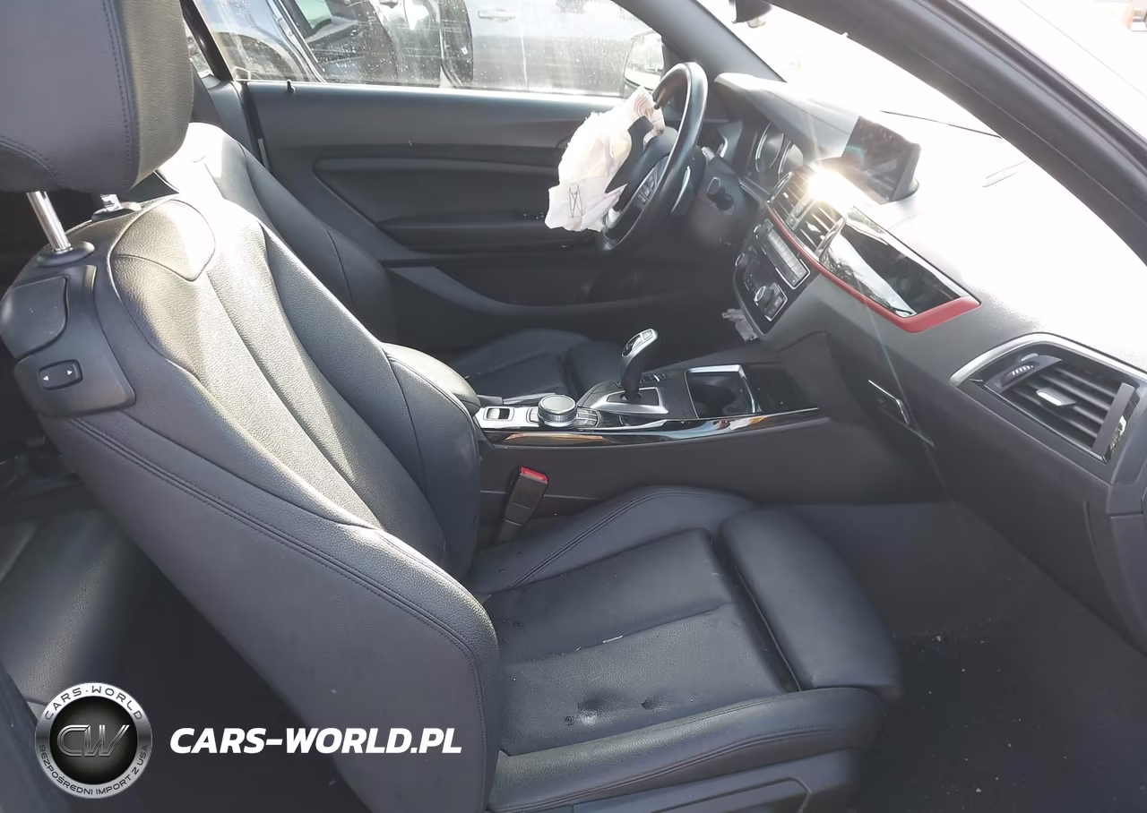 2020 BMW 230I xDrive VIN:WBA2K1C02L7G10773 - 5
