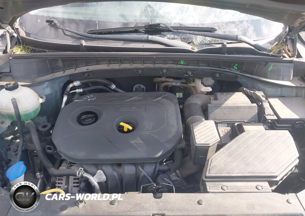 2017 Hyundai Tucson Se VIN:KM8J23A45HU545225 - 10