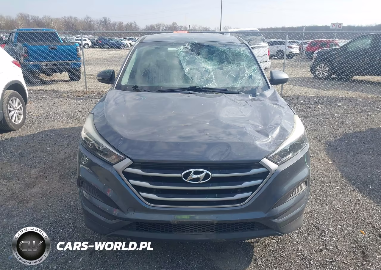 2017 Hyundai Tucson Se VIN:KM8J23A45HU545225 - 12