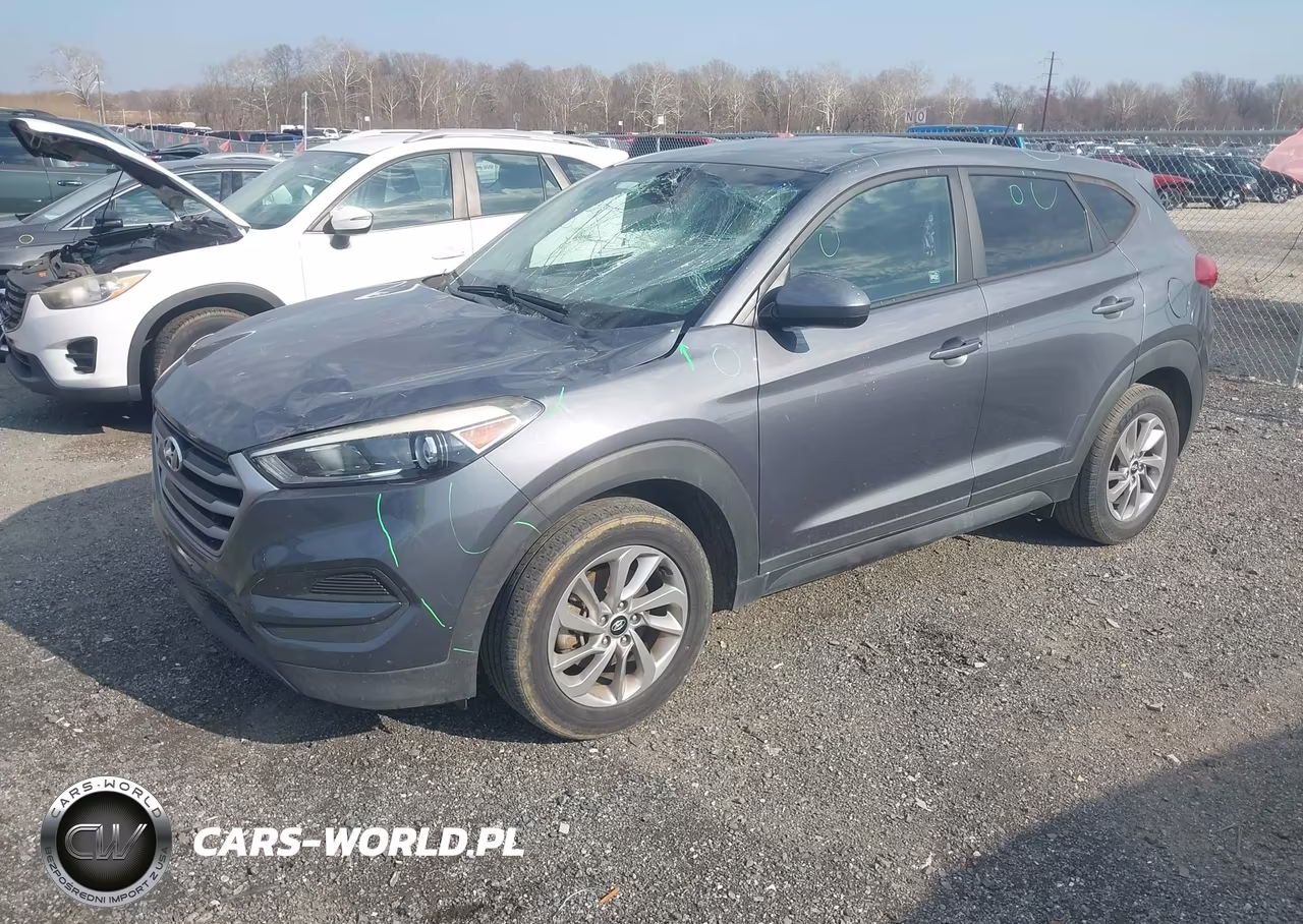2017 Hyundai Tucson Se VIN:KM8J23A45HU545225 - 2