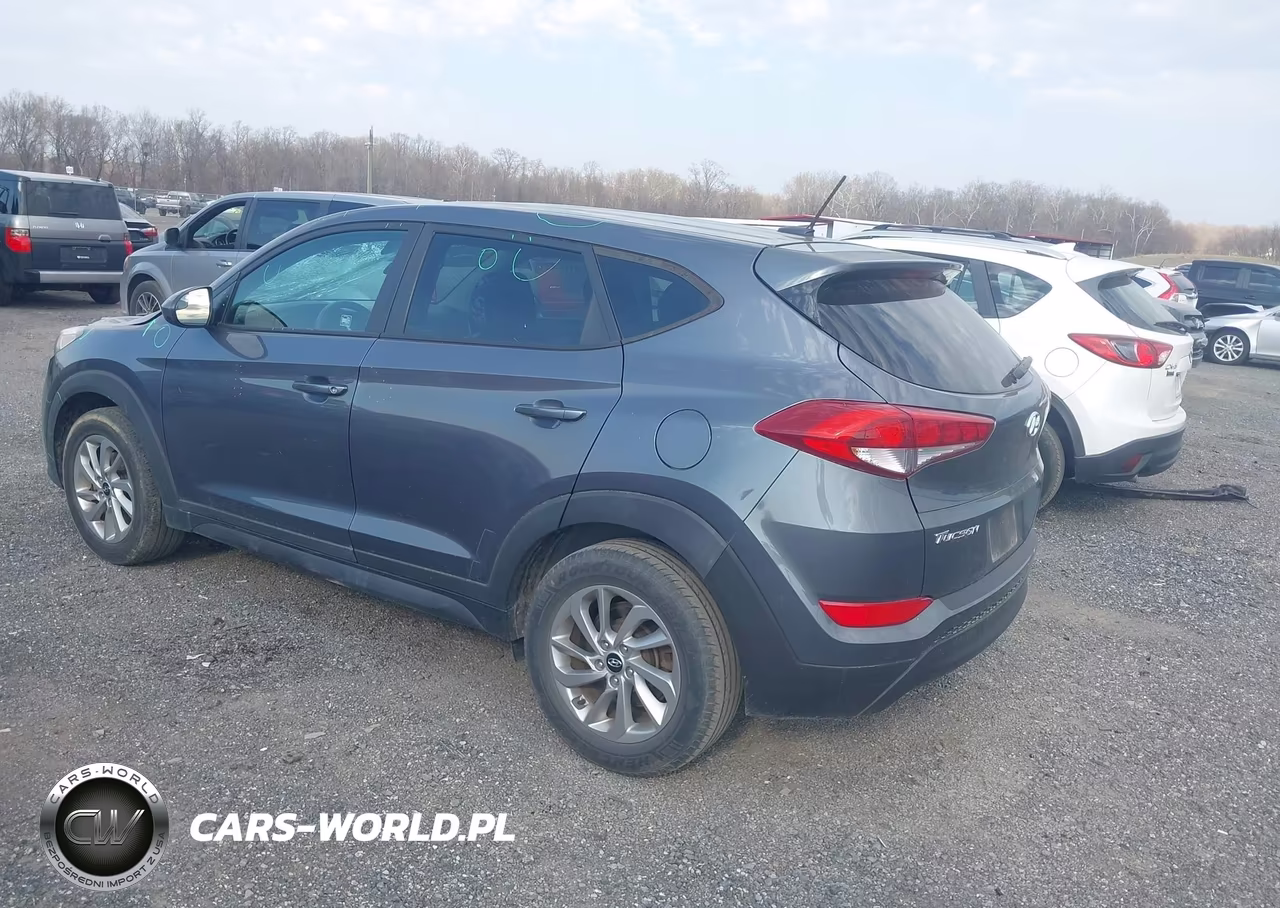 2017 Hyundai Tucson Se VIN:KM8J23A45HU545225 - 3