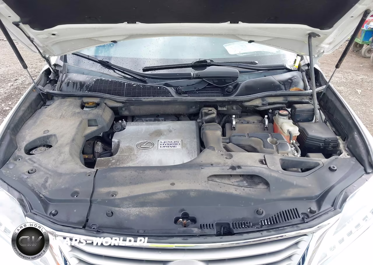 2015 Lexus Rx 450H VIN:2T2BC1BAXFC009231 - 10
