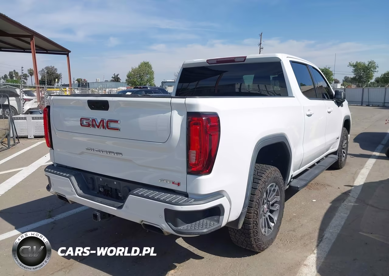 2020 GMC Sierra 1500 4Wd Short Box At4 VIN:3GTP9EEL6LG122611 - 4