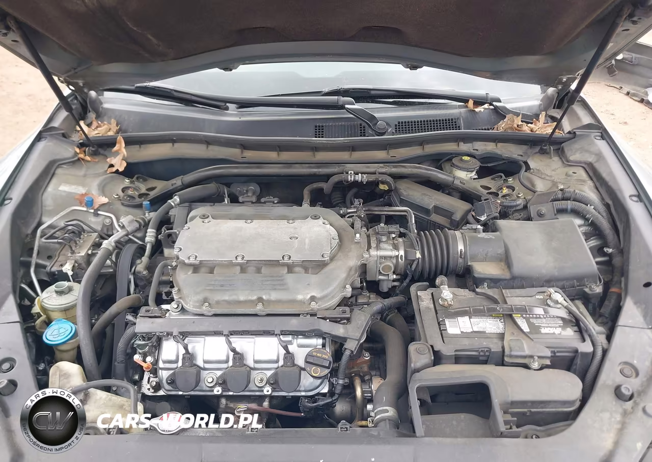 2010 Honda Accord Crosstour Ex-L VIN:5J6TF1H54AL010736 - 10