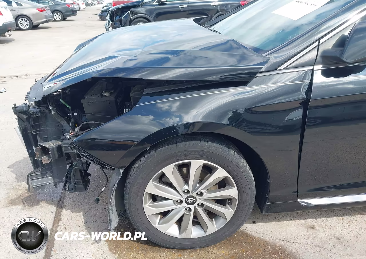 2016 Hyundai Sonata Sport VIN:5NPE34AF3GH409338 - 17