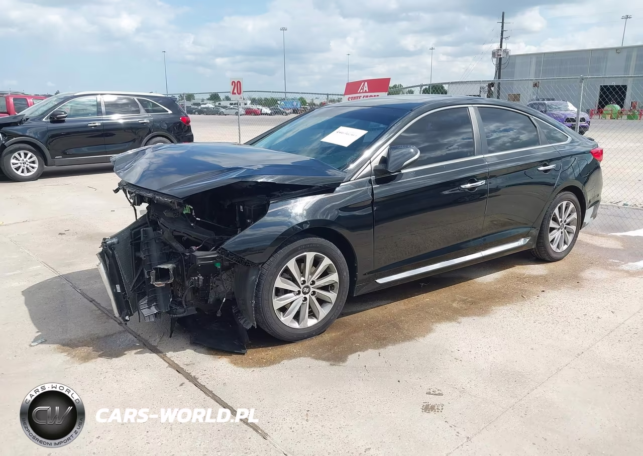2016 Hyundai Sonata Sport VIN:5NPE34AF3GH409338 - 2