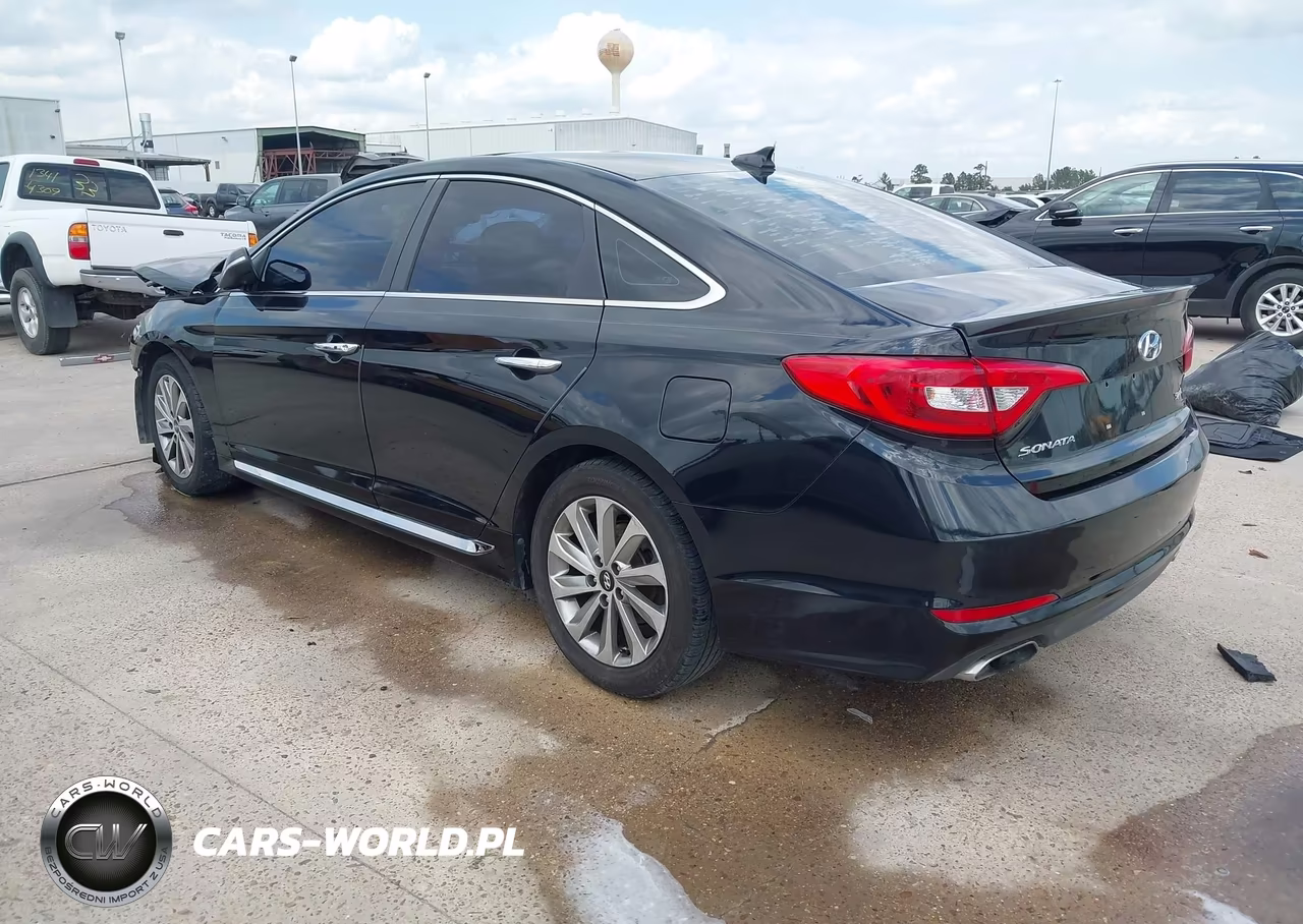 2016 Hyundai Sonata Sport VIN:5NPE34AF3GH409338 - 3