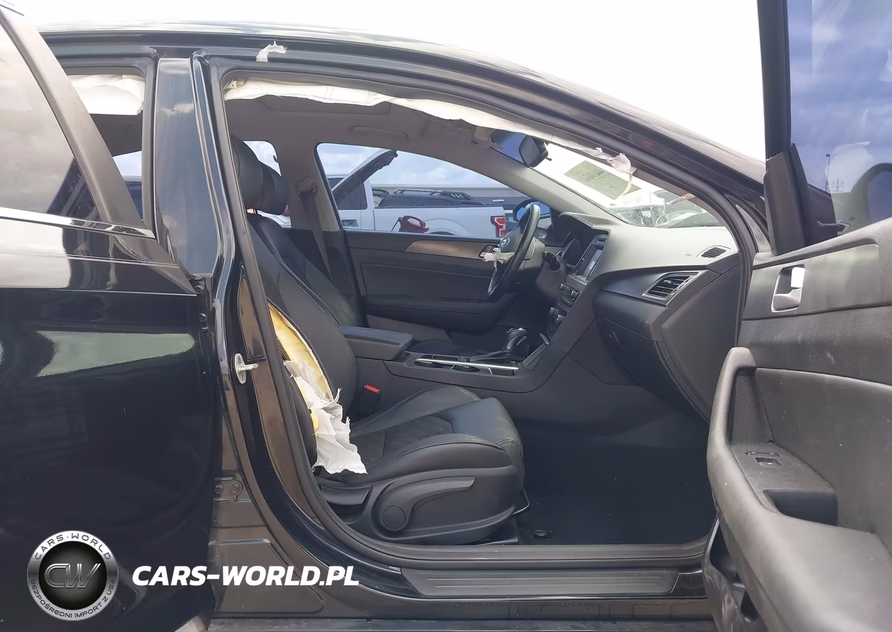 2016 Hyundai Sonata Sport VIN:5NPE34AF3GH409338 - 5