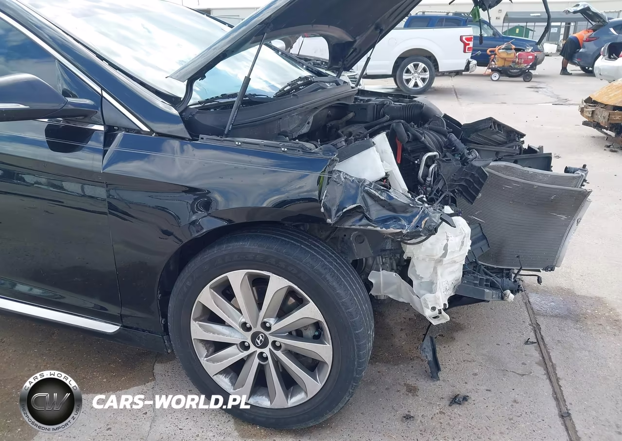 2016 Hyundai Sonata Sport VIN:5NPE34AF3GH409338 - 6