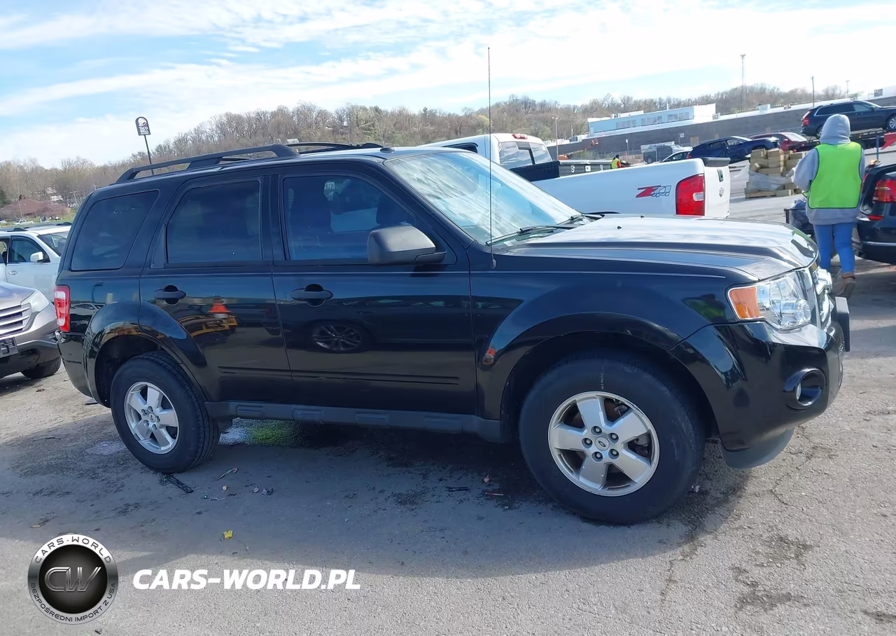 2011 Ford Escape Xlt VIN:1FMCU0DG4BKB59003 - 13