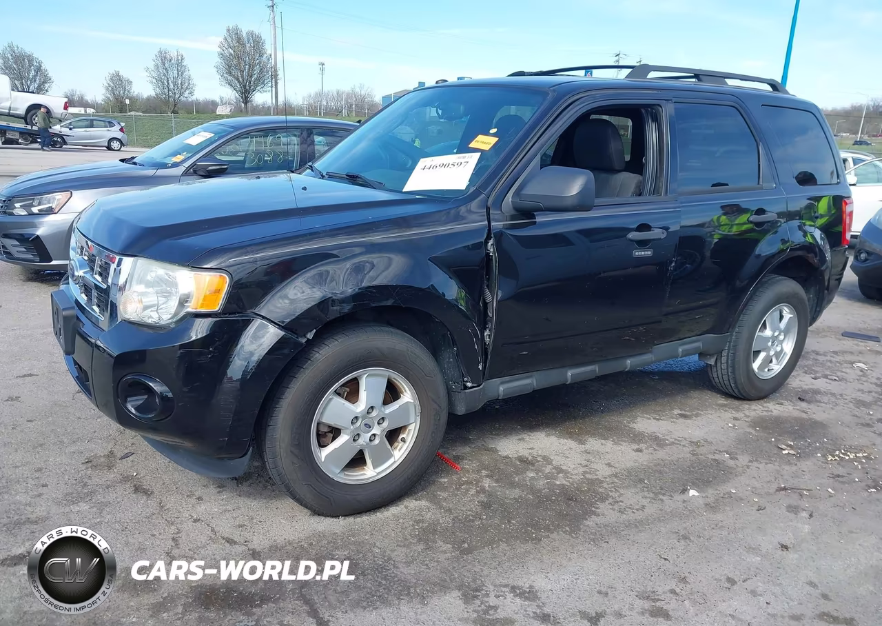2011 Ford Escape Xlt VIN:1FMCU0DG4BKB59003 - 2
