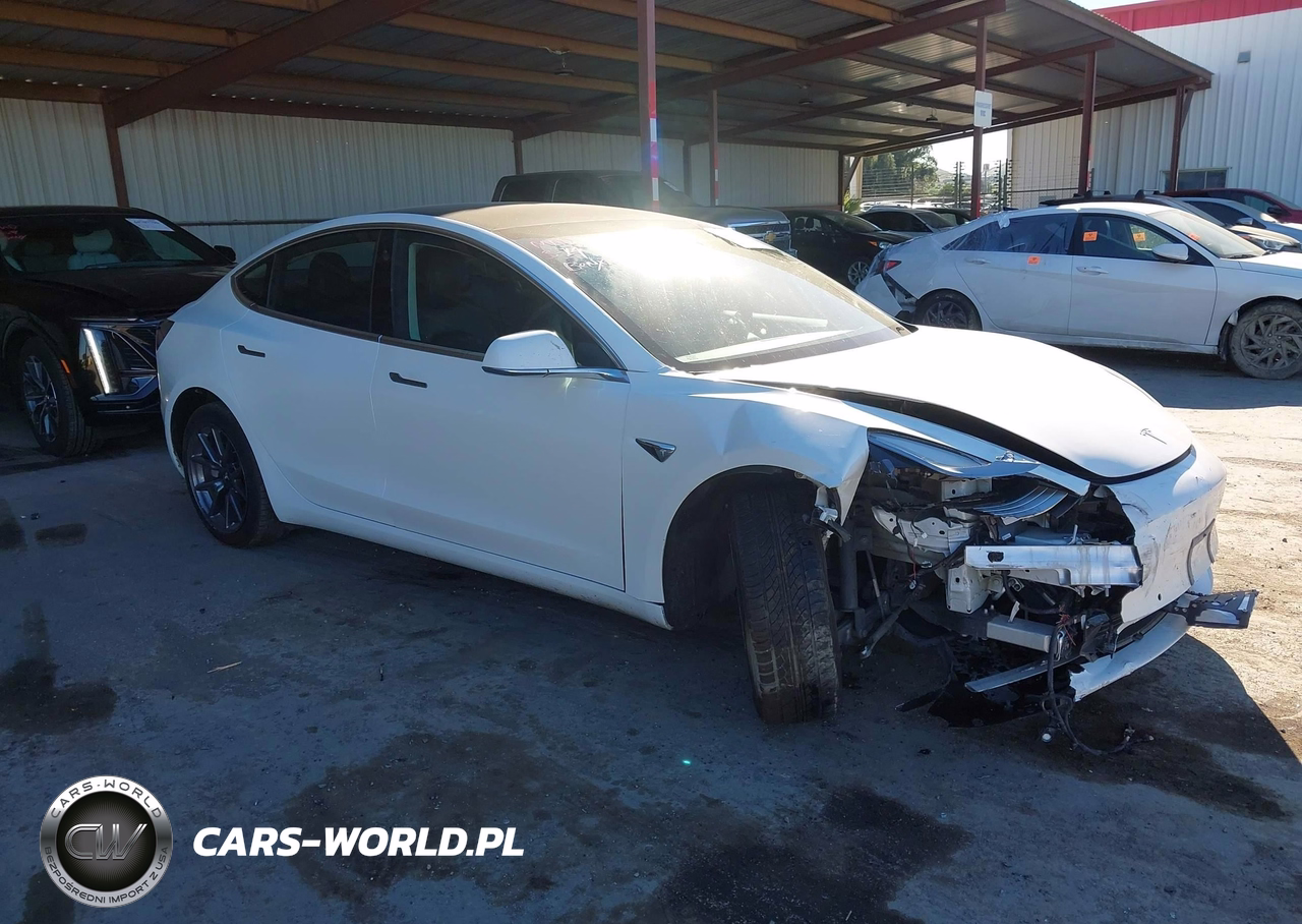 2019 Tesla Model 3 Long Range-Mid Range-Standard Range-Standard Range Plus