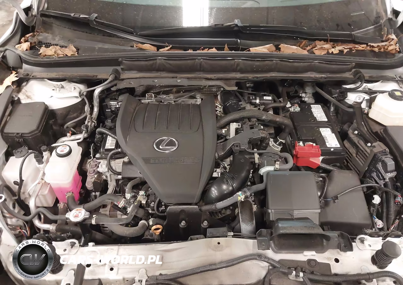 2023 Lexus Rx 350 Premium Plus VIN:2T2BAMCA6PC037163 - 10