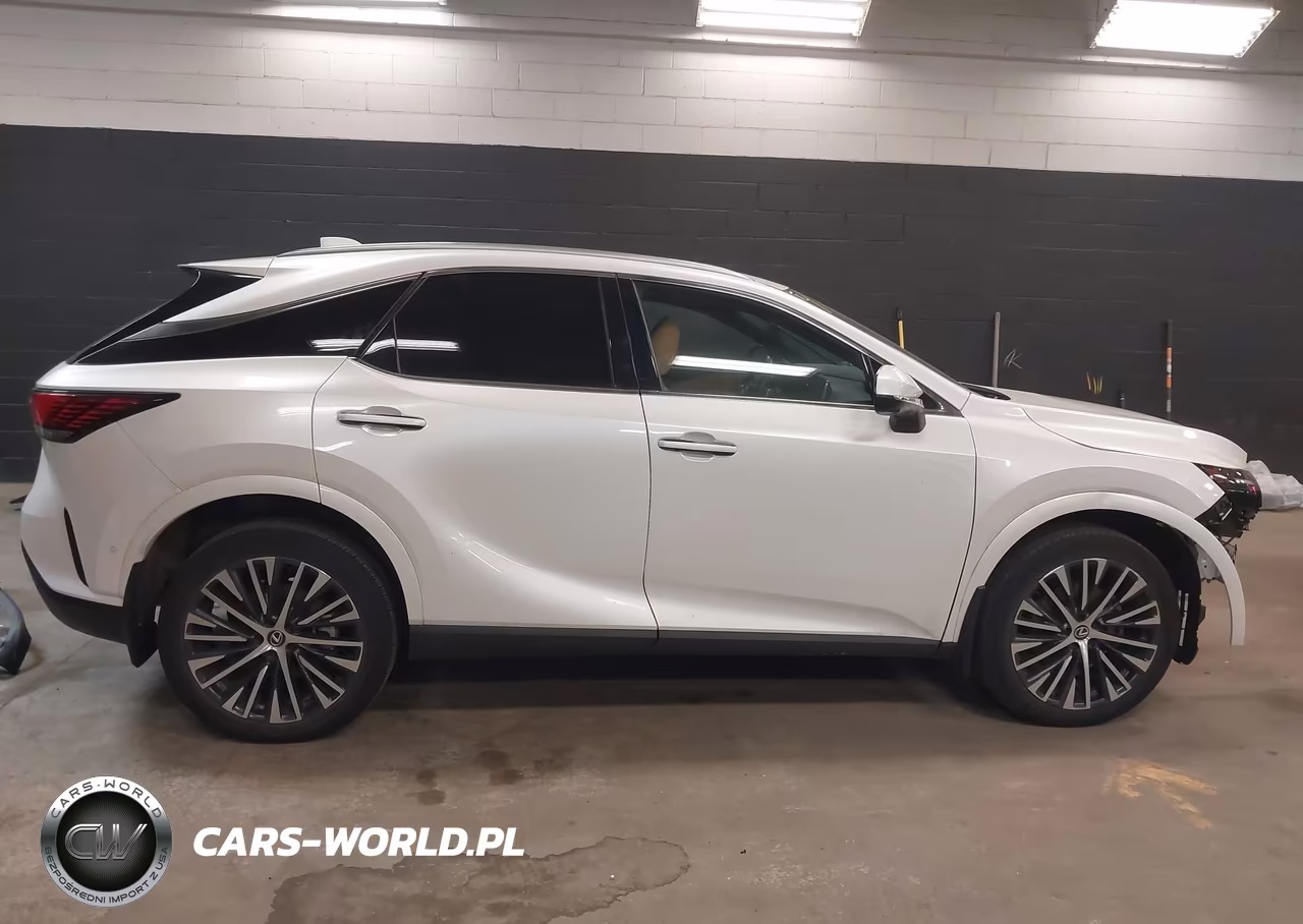 2023 Lexus Rx 350 Premium Plus VIN:2T2BAMCA6PC037163 - 14