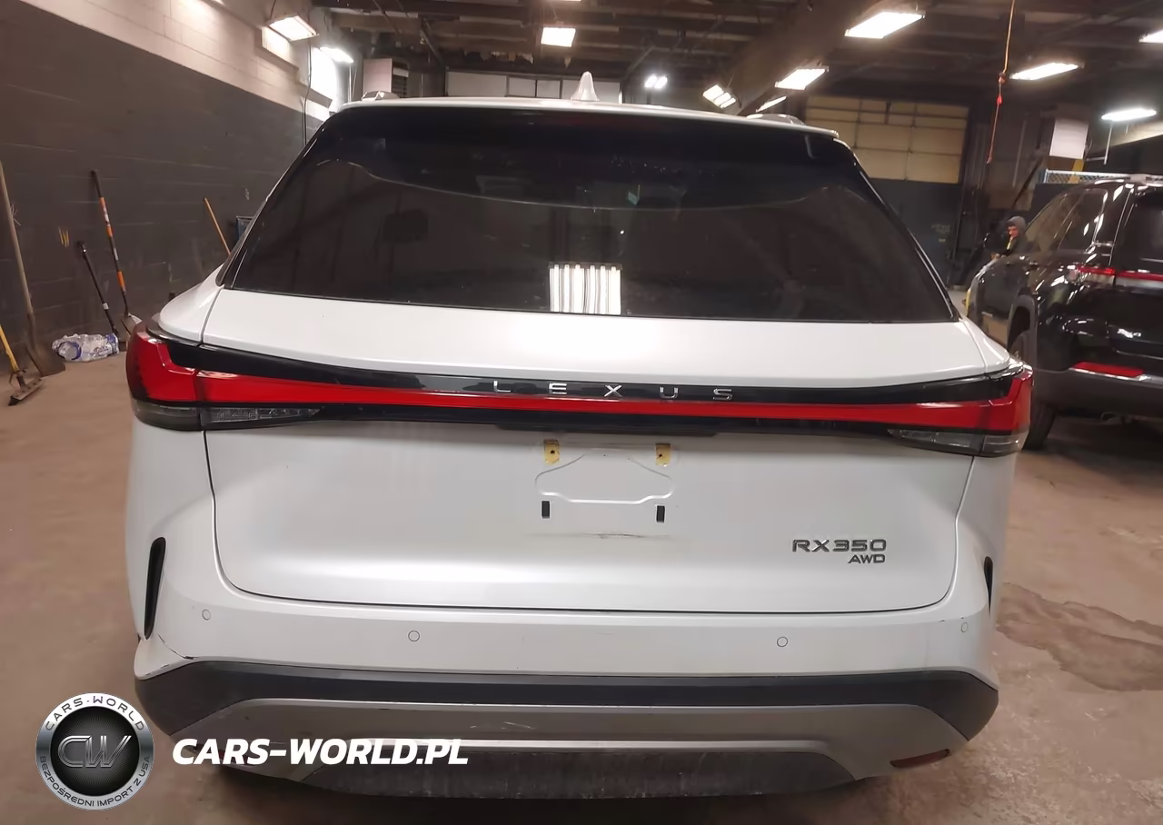 2023 Lexus Rx 350 Premium Plus VIN:2T2BAMCA6PC037163 - 17