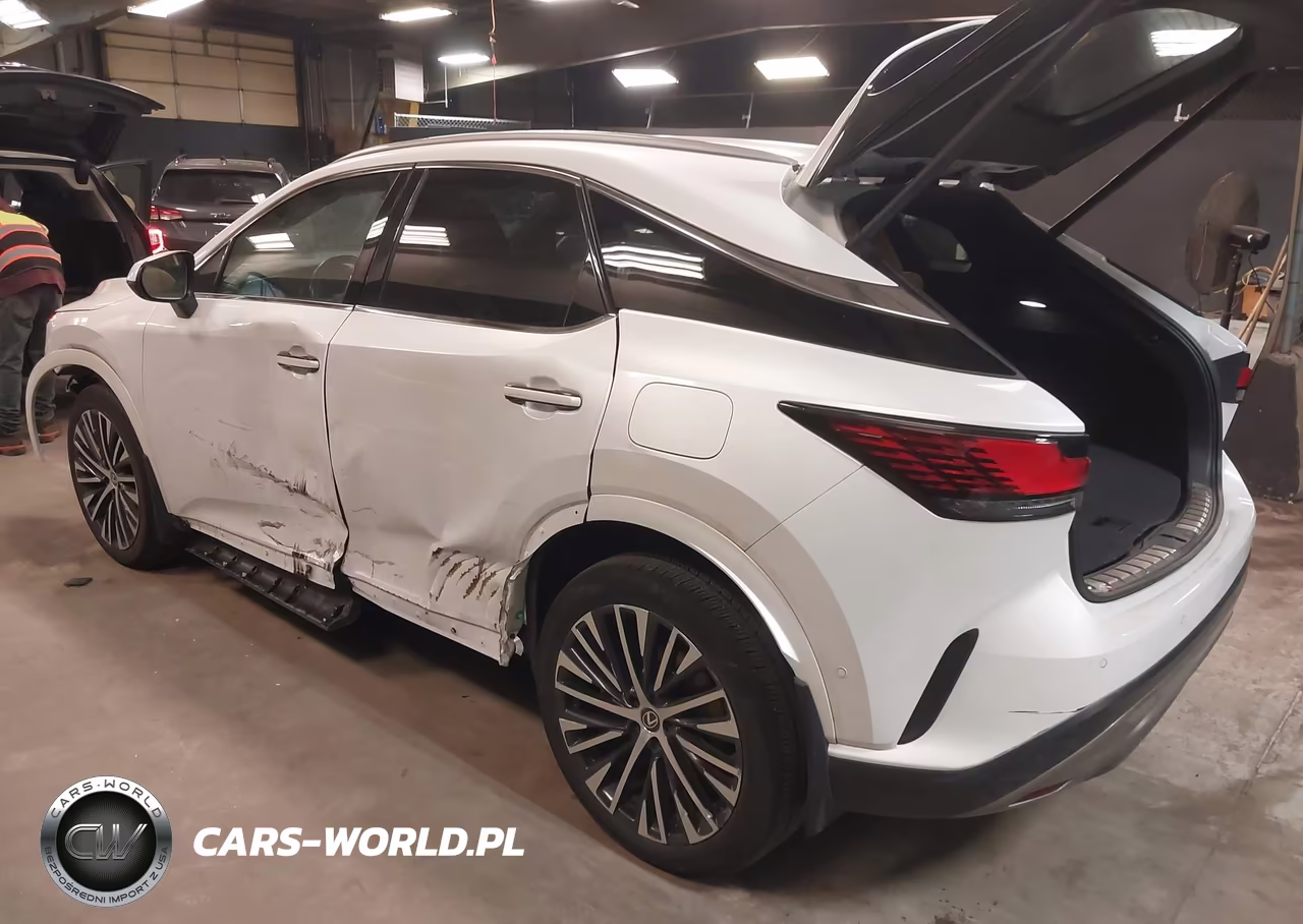 2023 Lexus Rx 350 Premium Plus VIN:2T2BAMCA6PC037163 - 3
