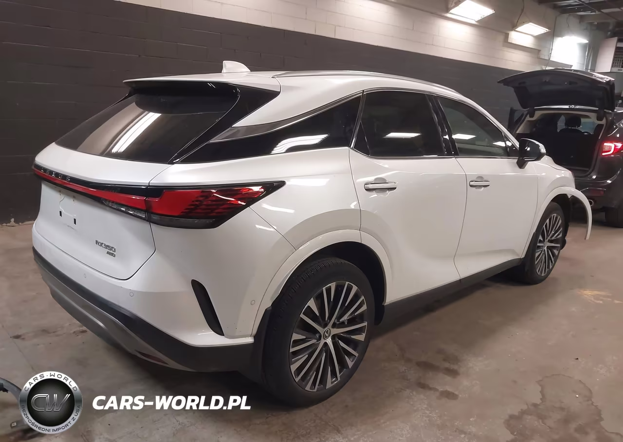 2023 Lexus Rx 350 Premium Plus VIN:2T2BAMCA6PC037163 - 4