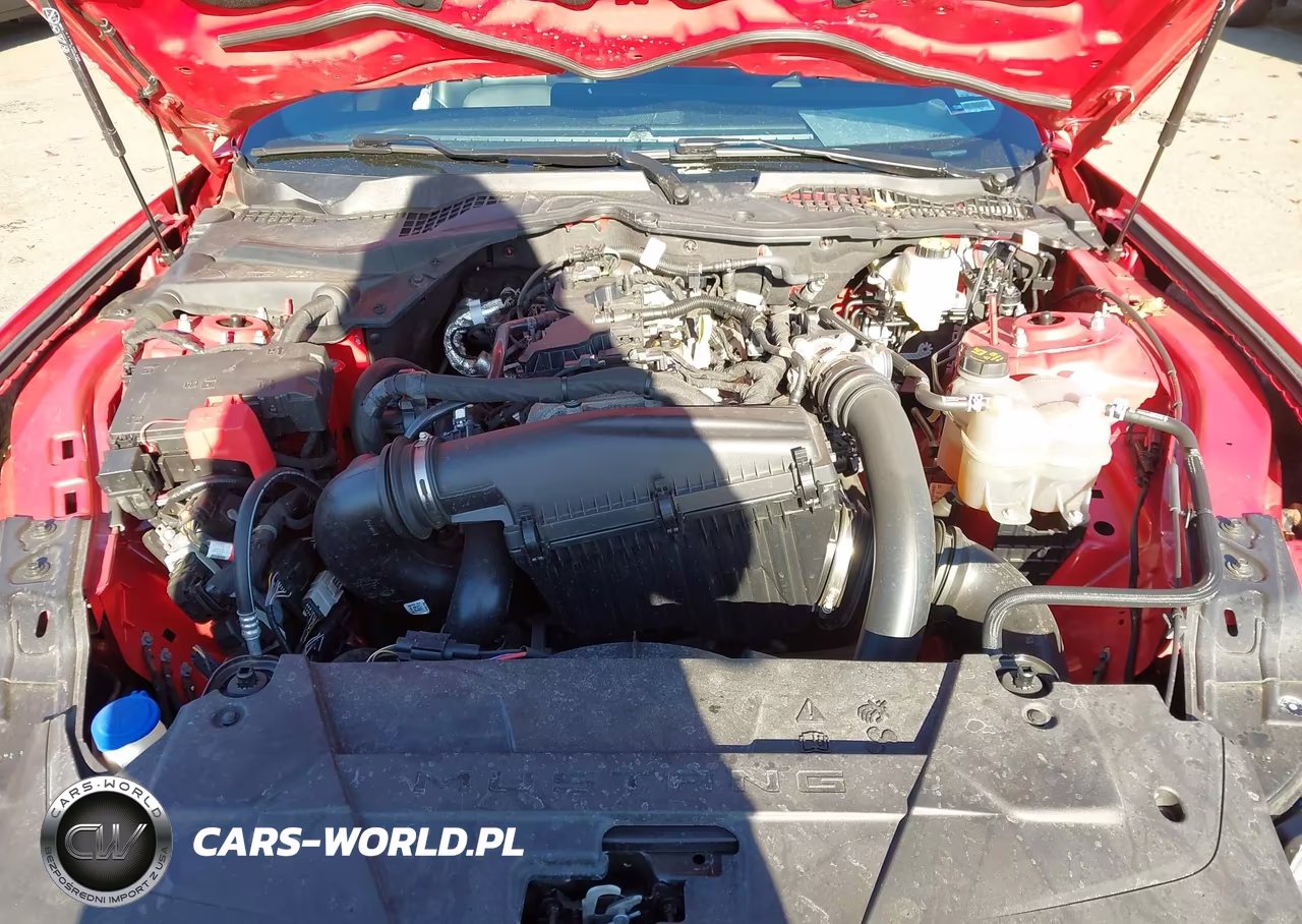2024 Ford Mustang Ecoboost Premium Fastback VIN:1FA6P8TH3R5100928 - 10