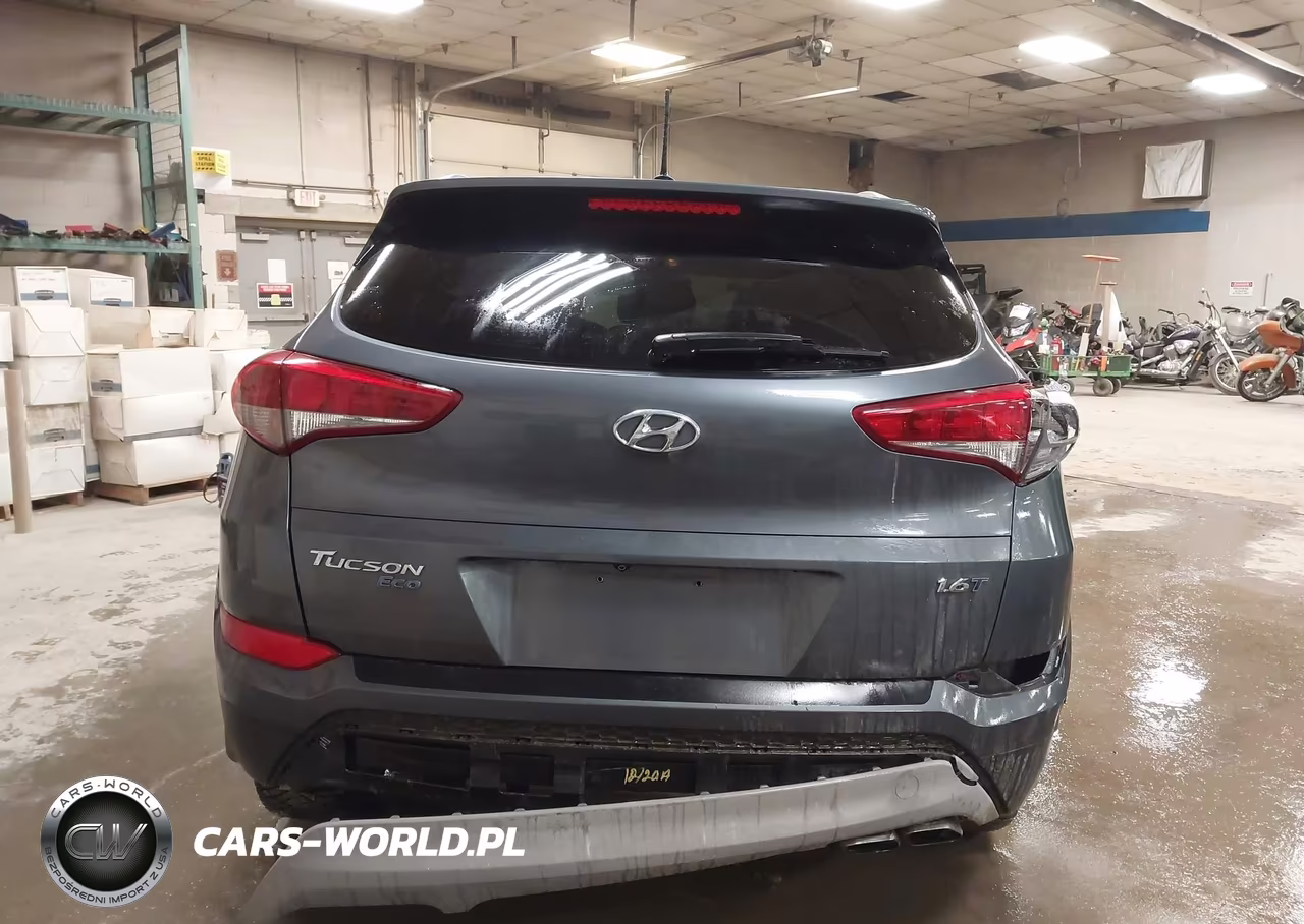 2017 Hyundai Tucson Eco VIN:KM8J33A26HU393421 - 17