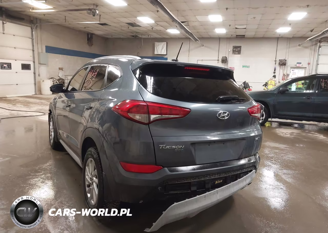 2017 Hyundai Tucson Eco VIN:KM8J33A26HU393421 - 3