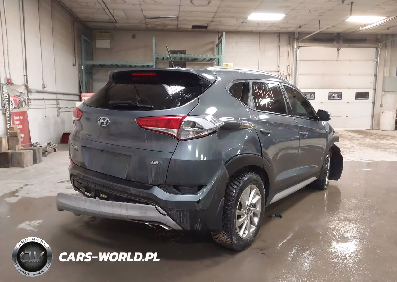 2017 Hyundai Tucson Eco VIN:KM8J33A26HU393421 - 4