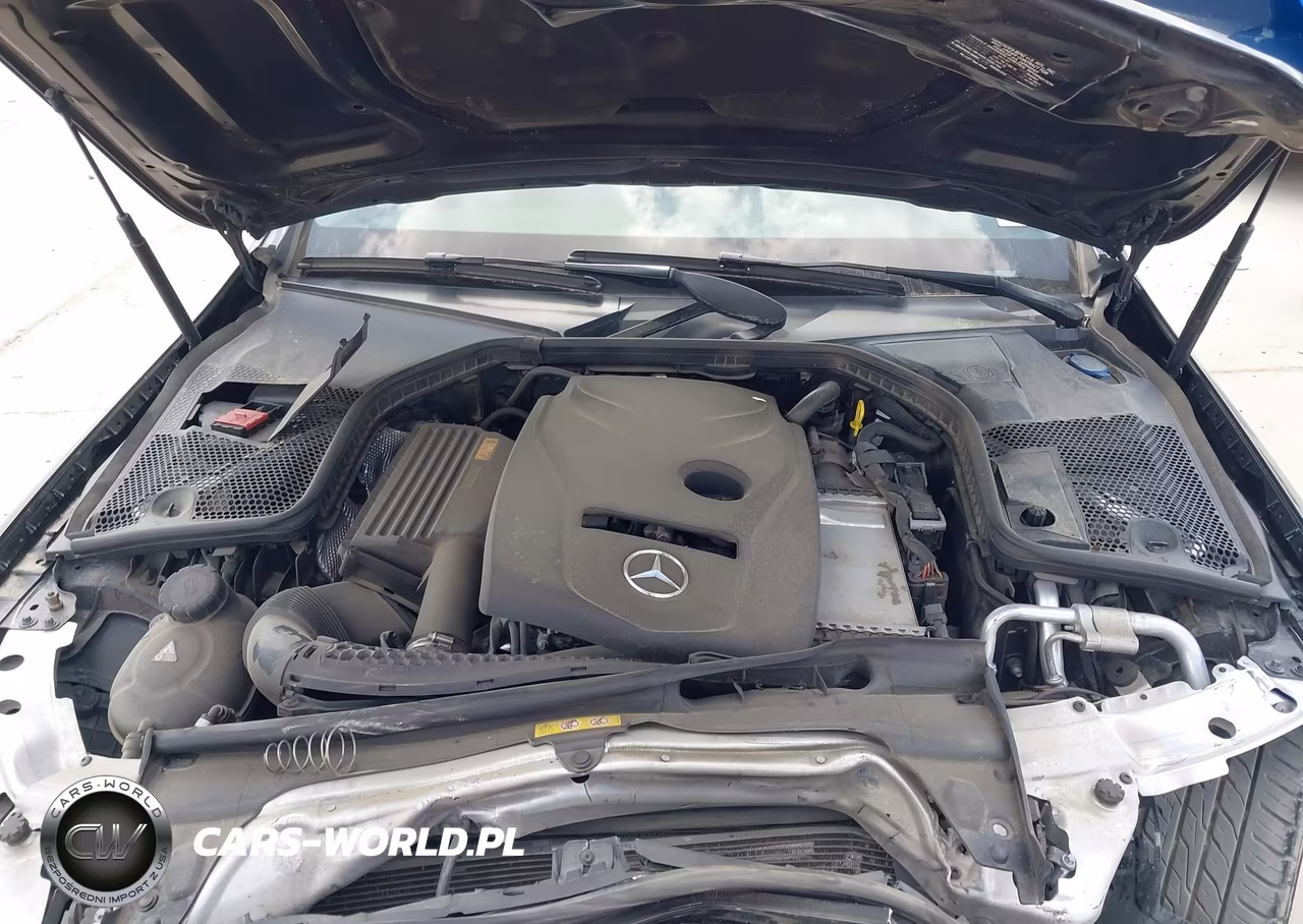 2017 Mercedes-Benz C 300 VIN:55SWF4JB3HU217599 - 10