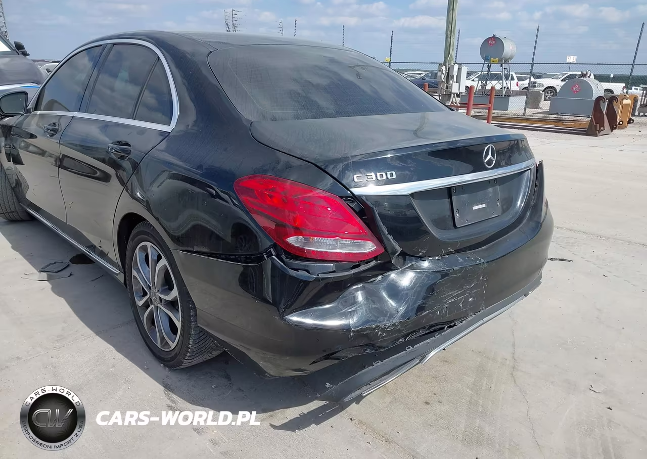 2017 Mercedes-Benz C 300 VIN:55SWF4JB3HU217599 - 19