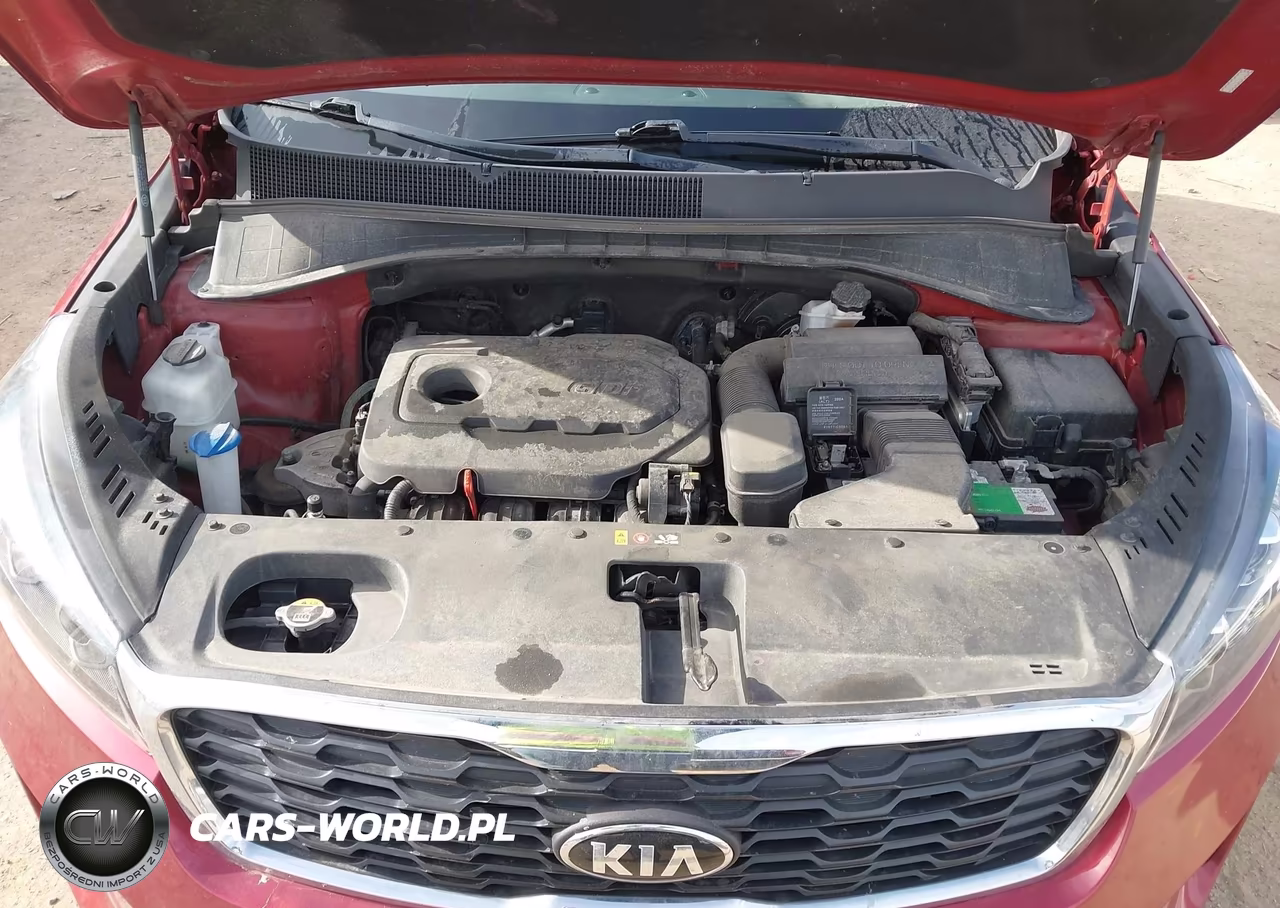 2019 Kia Sorento 2.4L Lx VIN:5XYPG4A3XKG592224 - 10