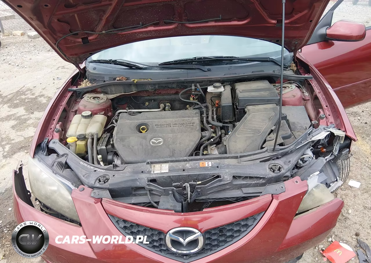 2009 Mazda Mazda3 I VIN:JM1BK32F391206412 - 10
