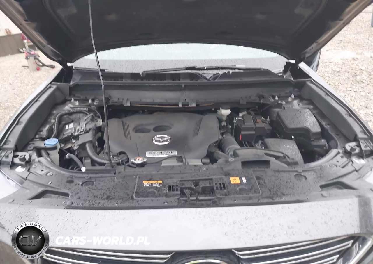2017 Mazda Cx-9 Grand Touring VIN:JM3TCBDY6H0131937 - 10