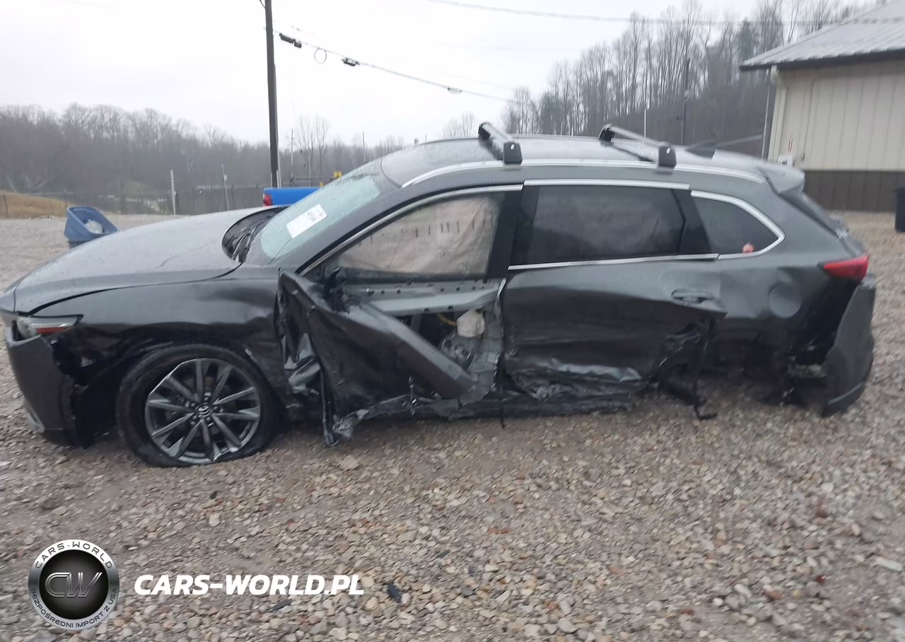 2017 Mazda Cx-9 Grand Touring VIN:JM3TCBDY6H0131937 - 6