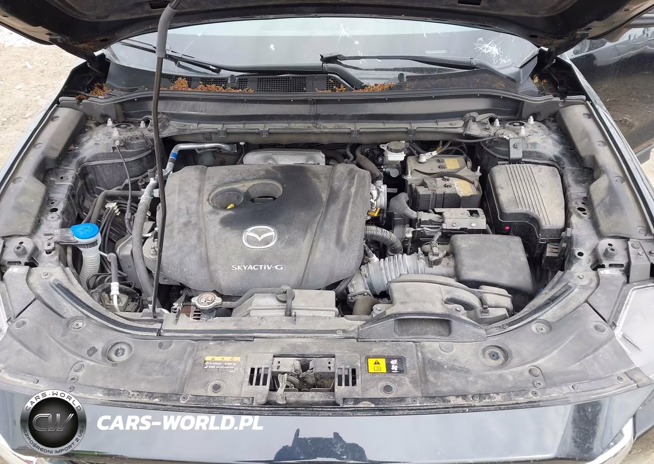 2022 Mazda Cx-5 2.5 S Select VIN:JM3KFBBMXN0557807 - 10