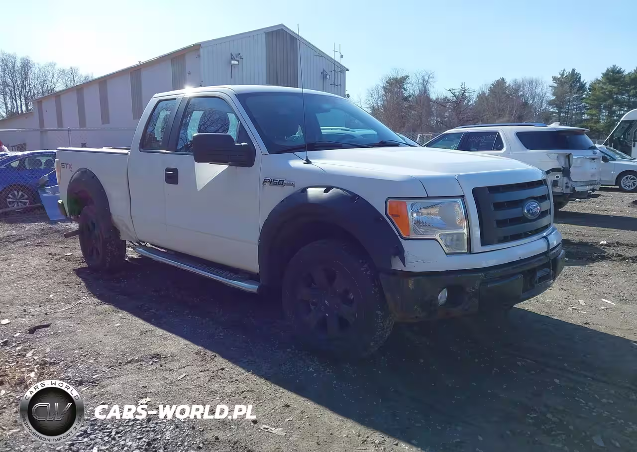 2010 Ford F-150 Stx-Xl