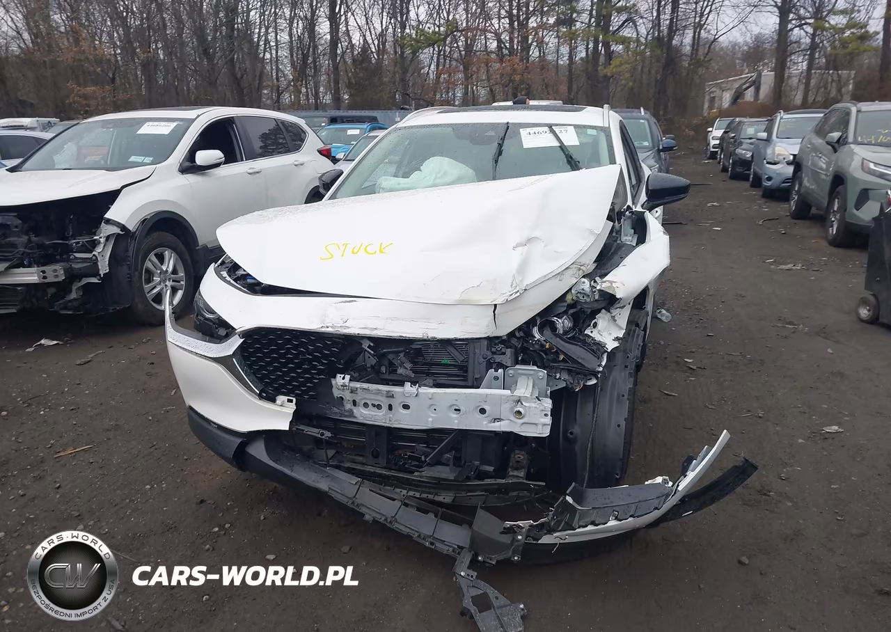 2022 Mazda Cx-30 2.5 Turbo Premium VIN:3MVDMBDY1NM435890 - 12