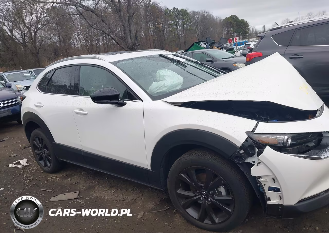 2022 Mazda Cx-30 2.5 Turbo Premium VIN:3MVDMBDY1NM435890 - 13