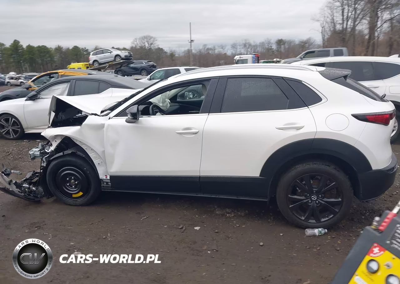 2022 Mazda Cx-30 2.5 Turbo Premium VIN:3MVDMBDY1NM435890 - 14