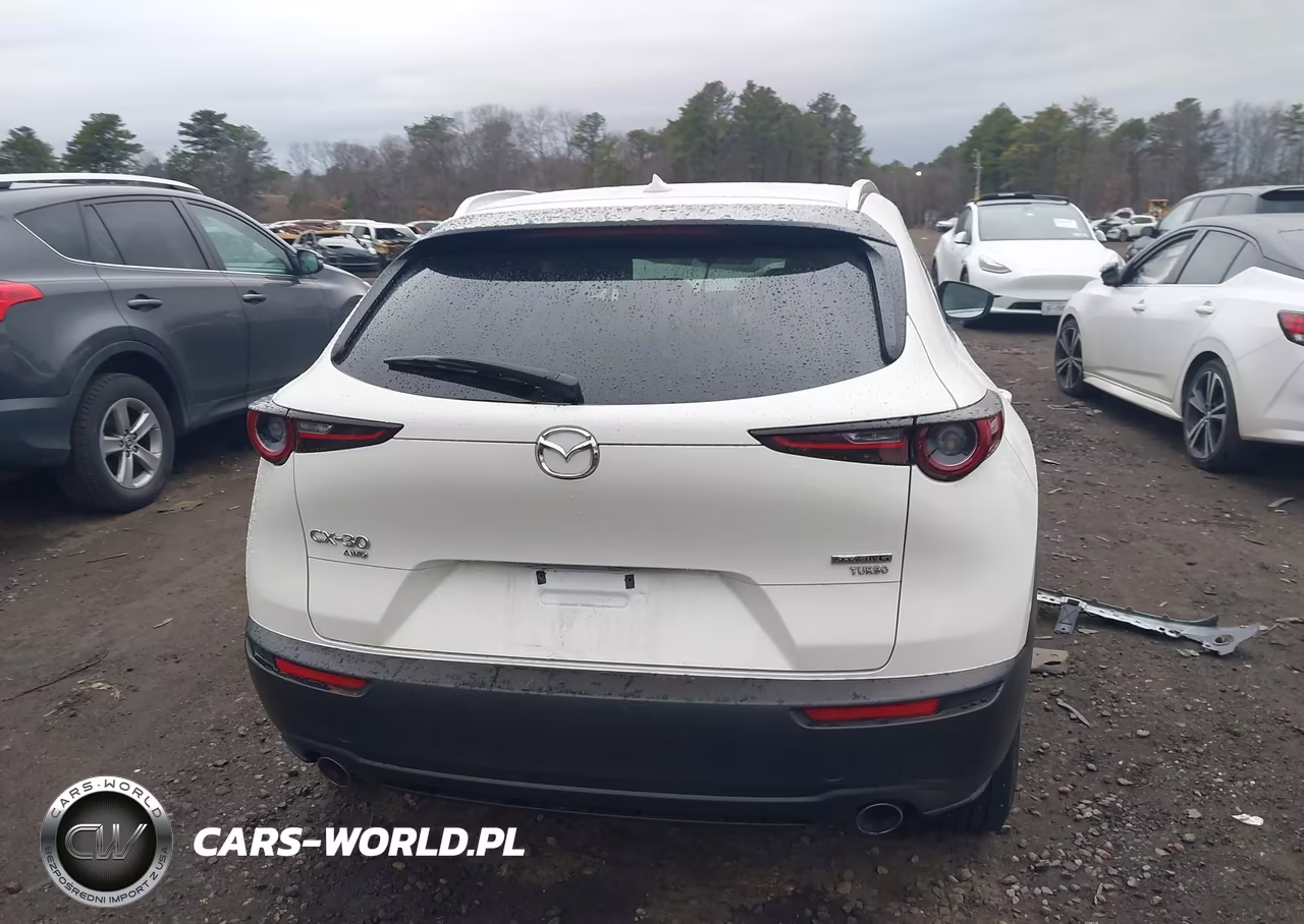 2022 Mazda Cx-30 2.5 Turbo Premium VIN:3MVDMBDY1NM435890 - 16