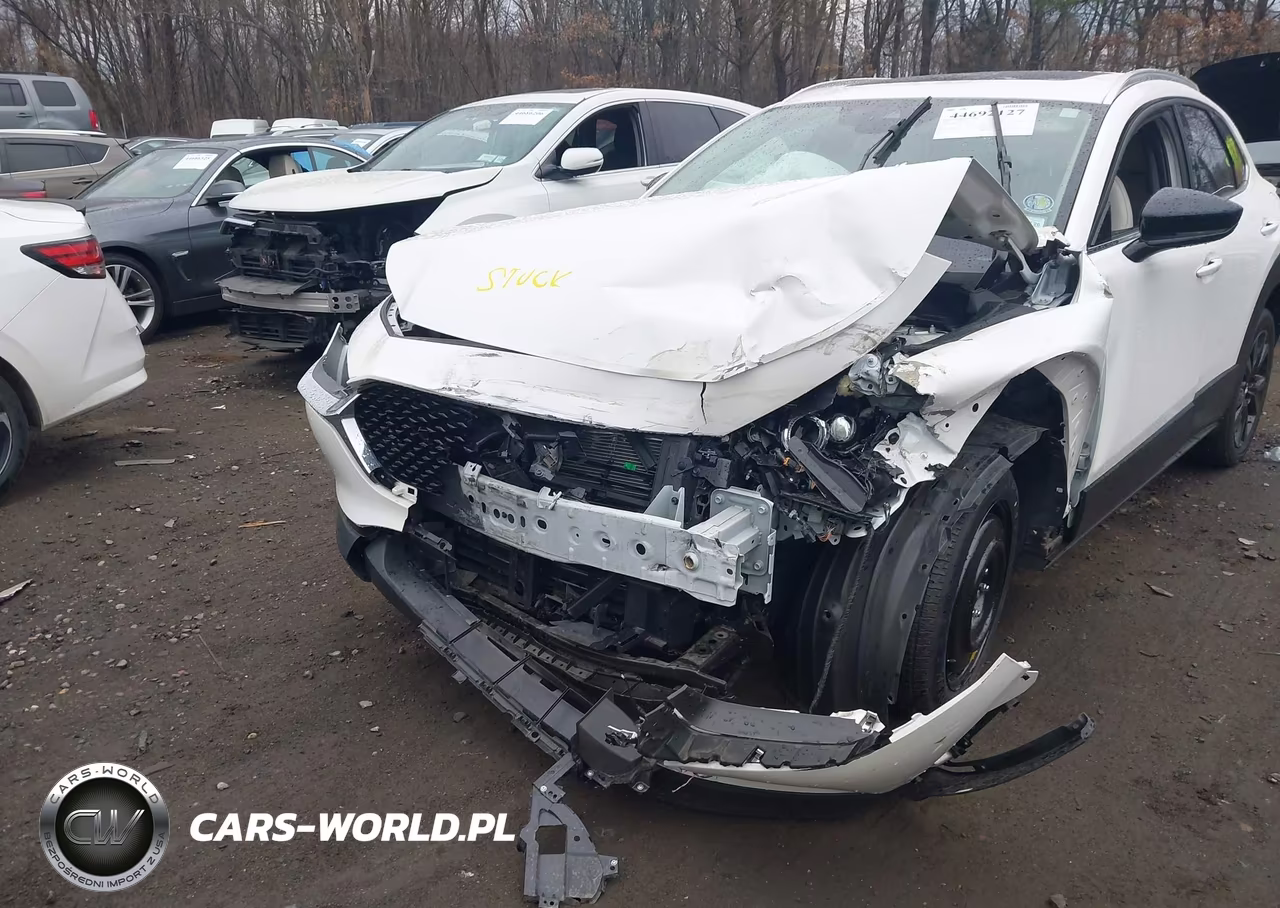 2022 Mazda Cx-30 2.5 Turbo Premium VIN:3MVDMBDY1NM435890 - 6