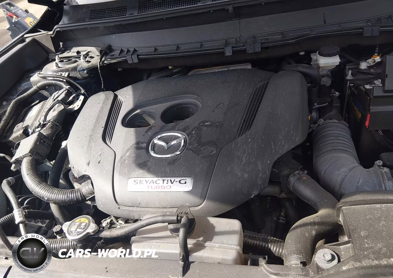2022 Mazda Cx-9 Touring VIN:JM3TCBCY1N0624440 - 10