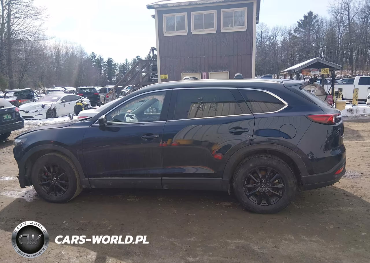 2022 Mazda Cx-9 Touring VIN:JM3TCBCY1N0624440 - 14