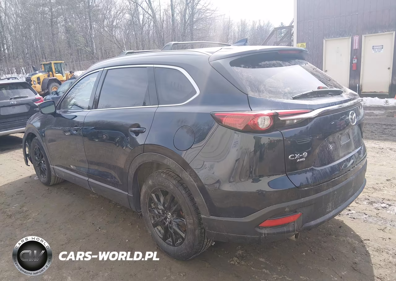 2022 Mazda Cx-9 Touring VIN:JM3TCBCY1N0624440 - 3