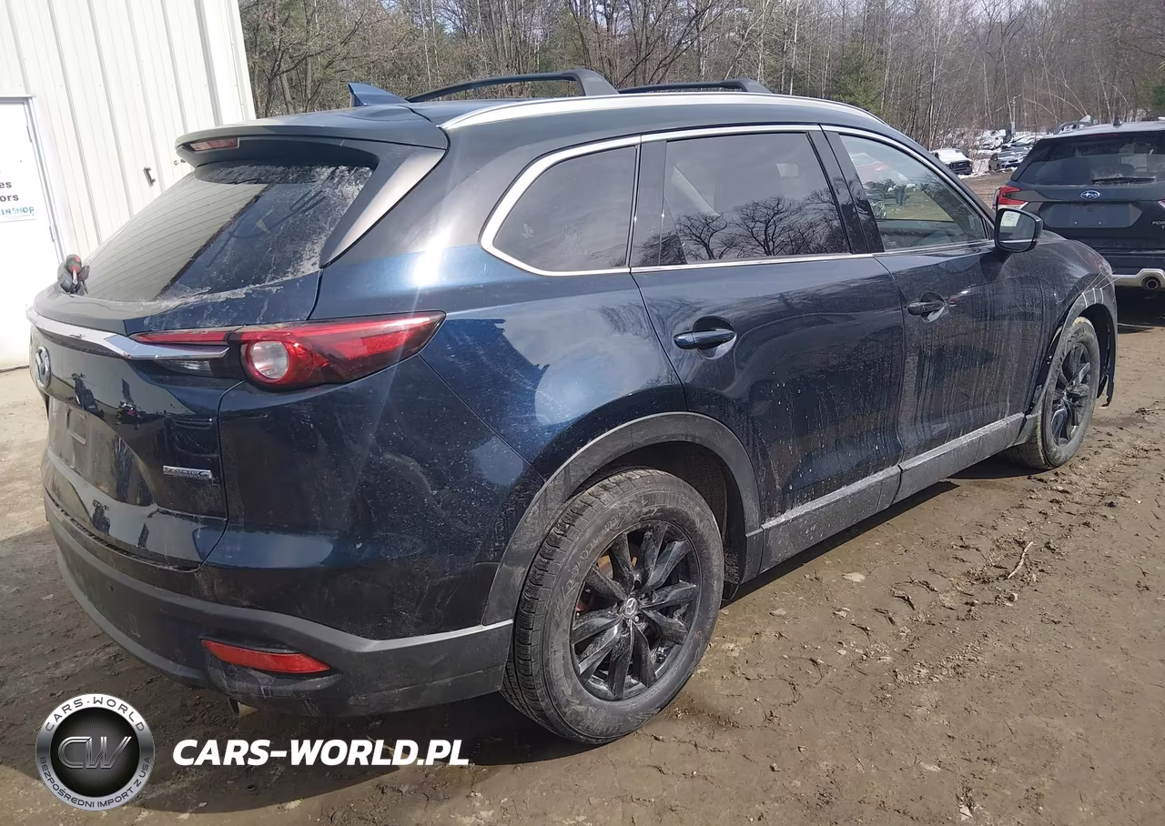 2022 Mazda Cx-9 Touring VIN:JM3TCBCY1N0624440 - 4